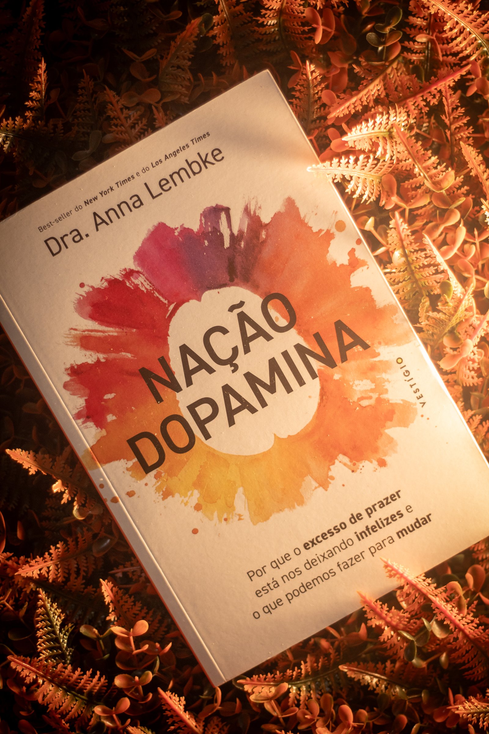 Capa do livro A Educação da Vontade