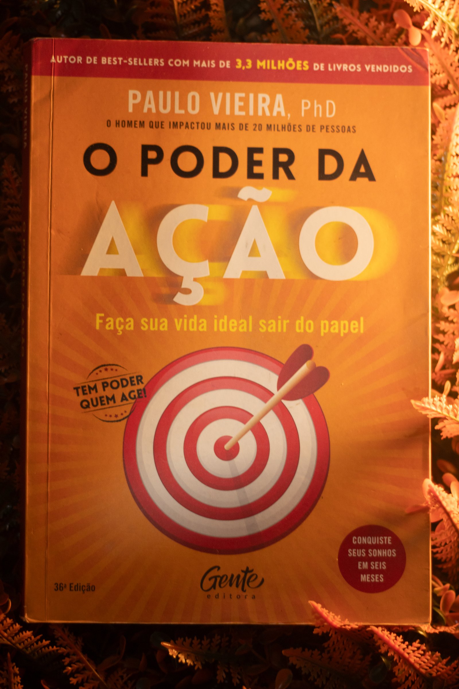 Capa do segundo livro