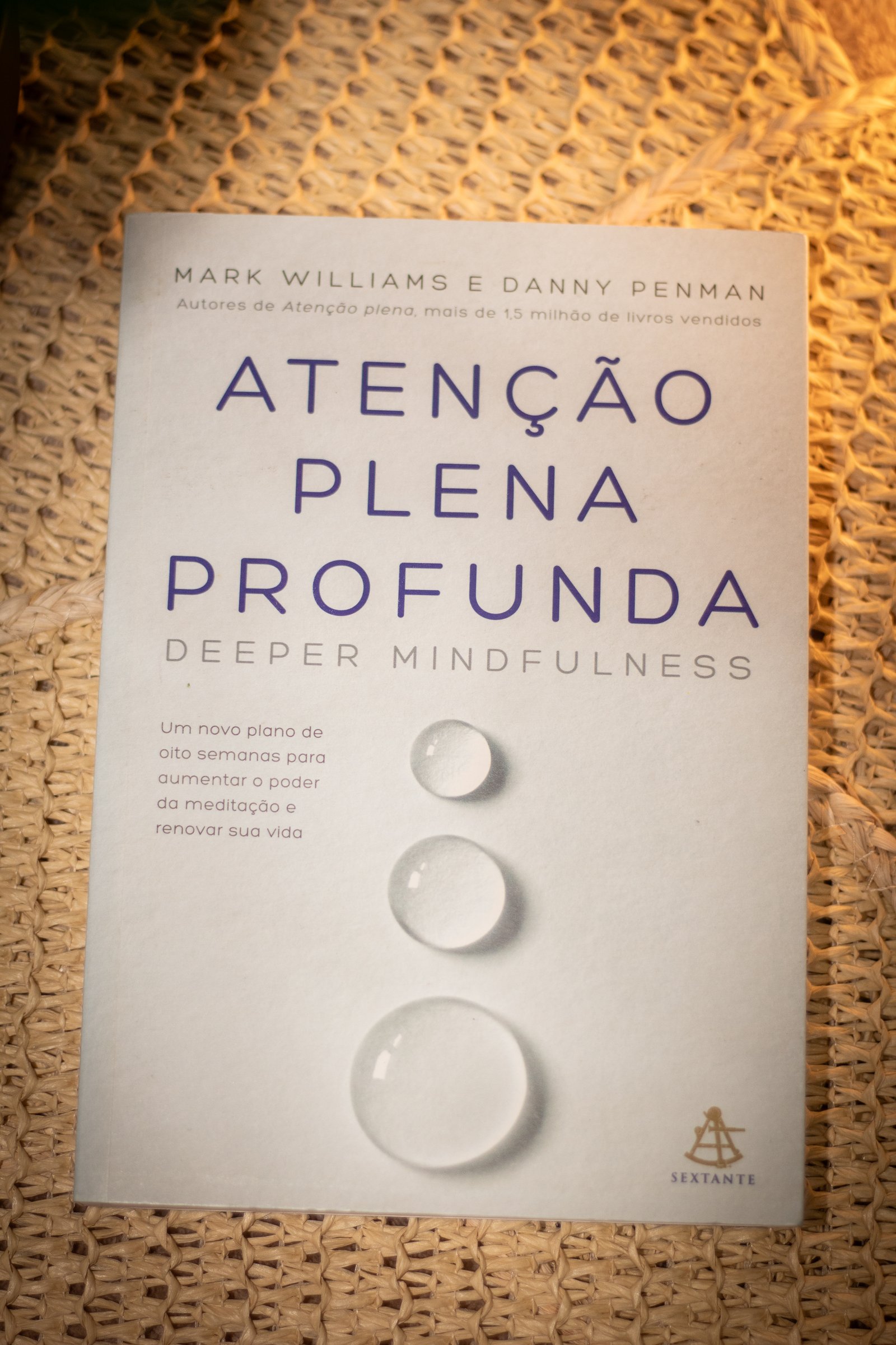 Capa do segundo livro