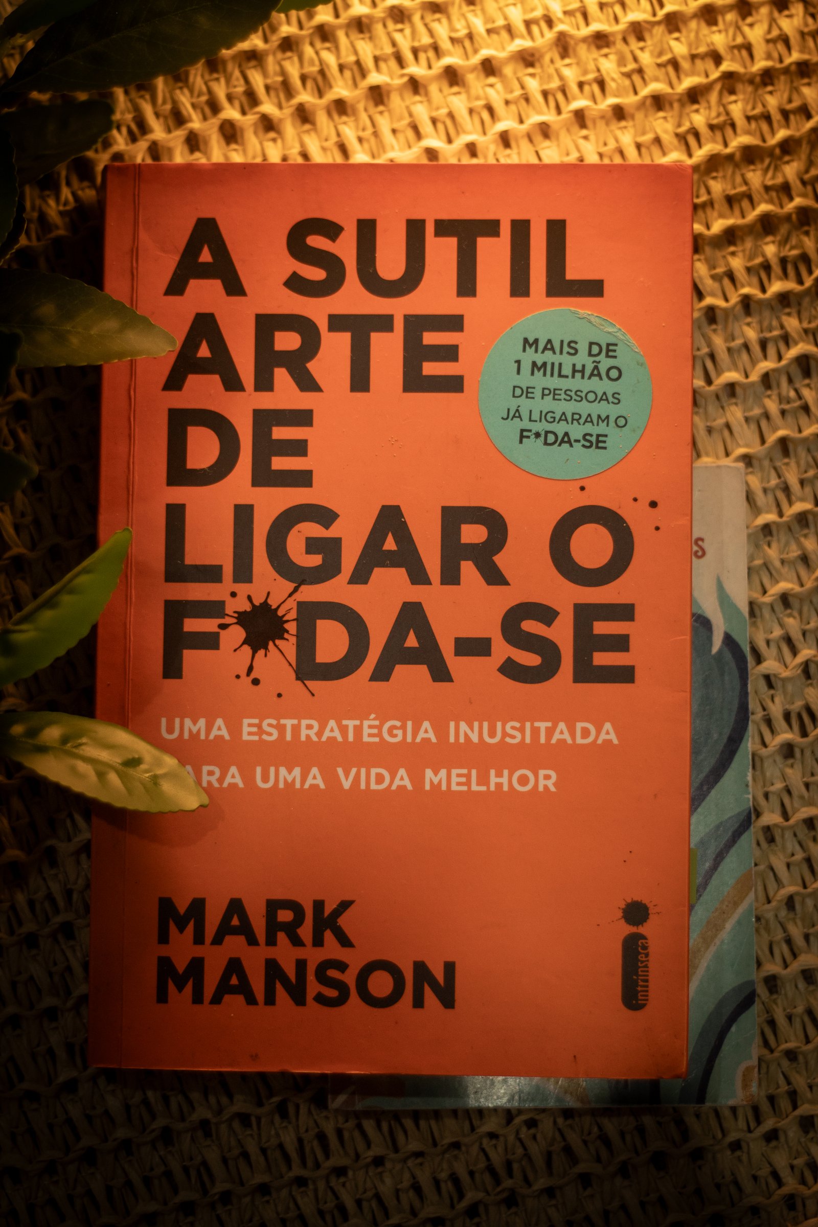 Capa do segundo livro