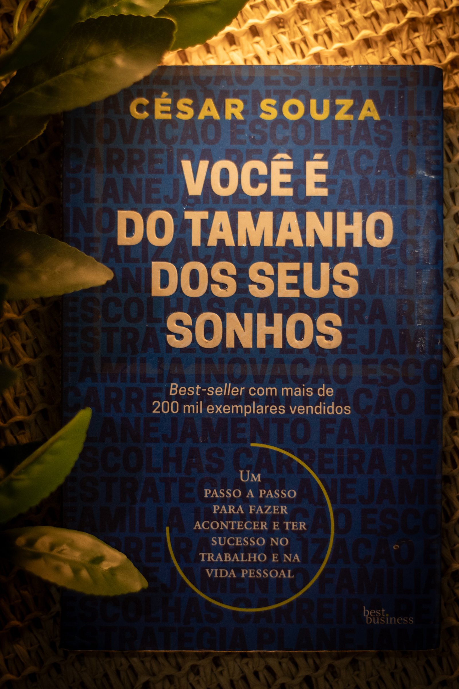 Capa do segundo livro