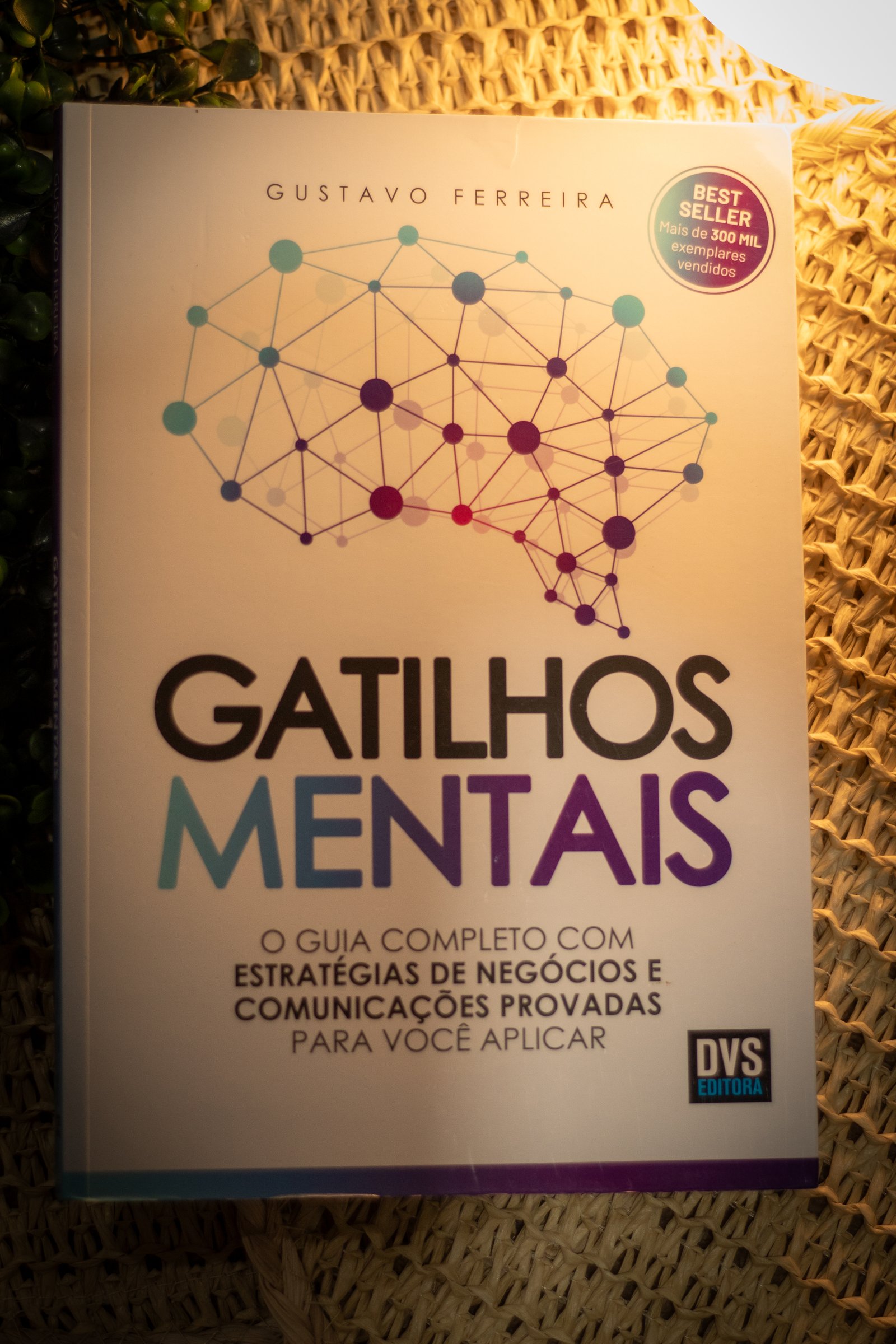 Capa do segundo livro