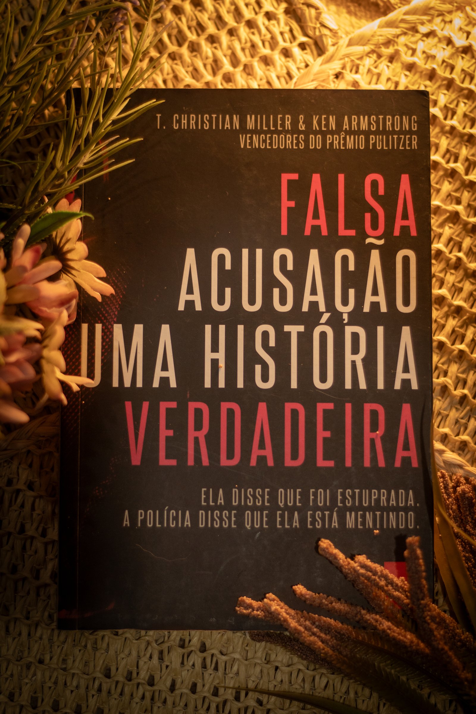 Capa do segundo livro