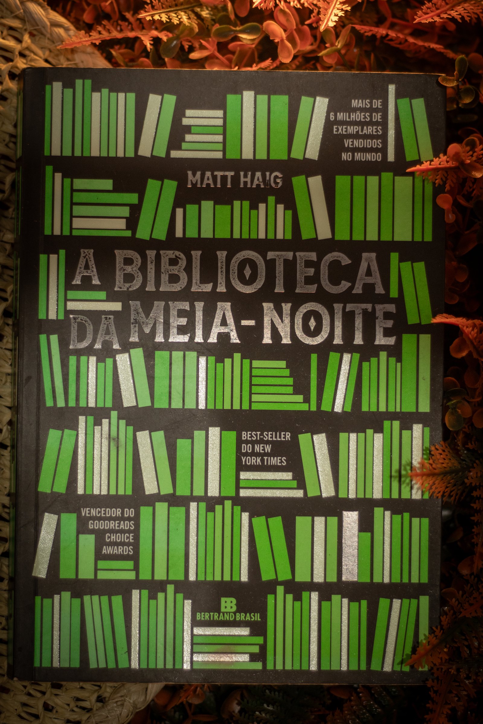 Capa do segundo livro