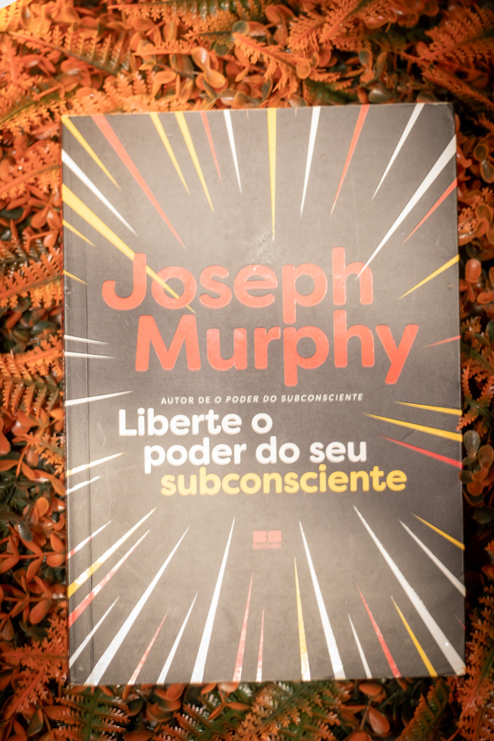 Capa do segundo livro