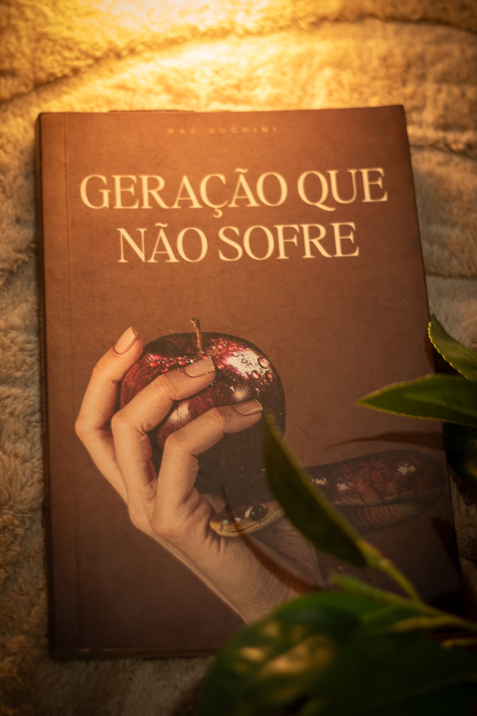 Capa do segundo livro