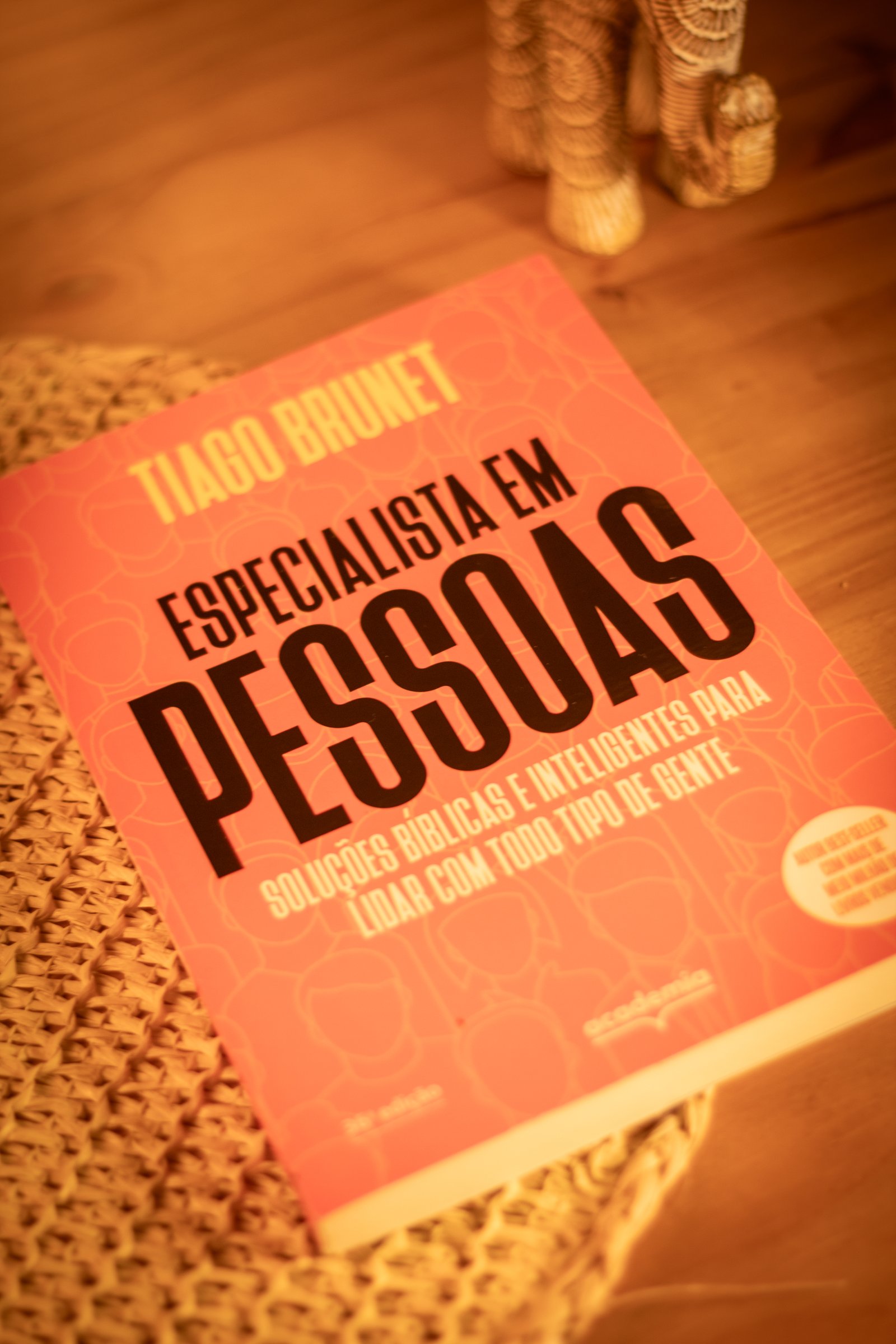 Capa do segundo livro