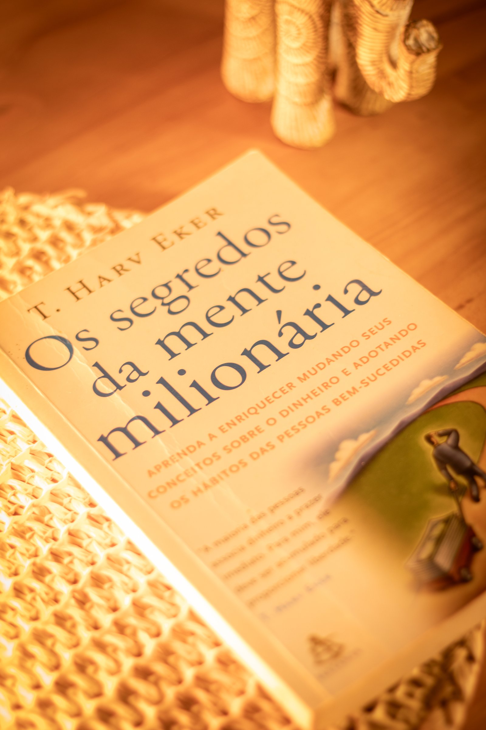 Capa do segundo livro