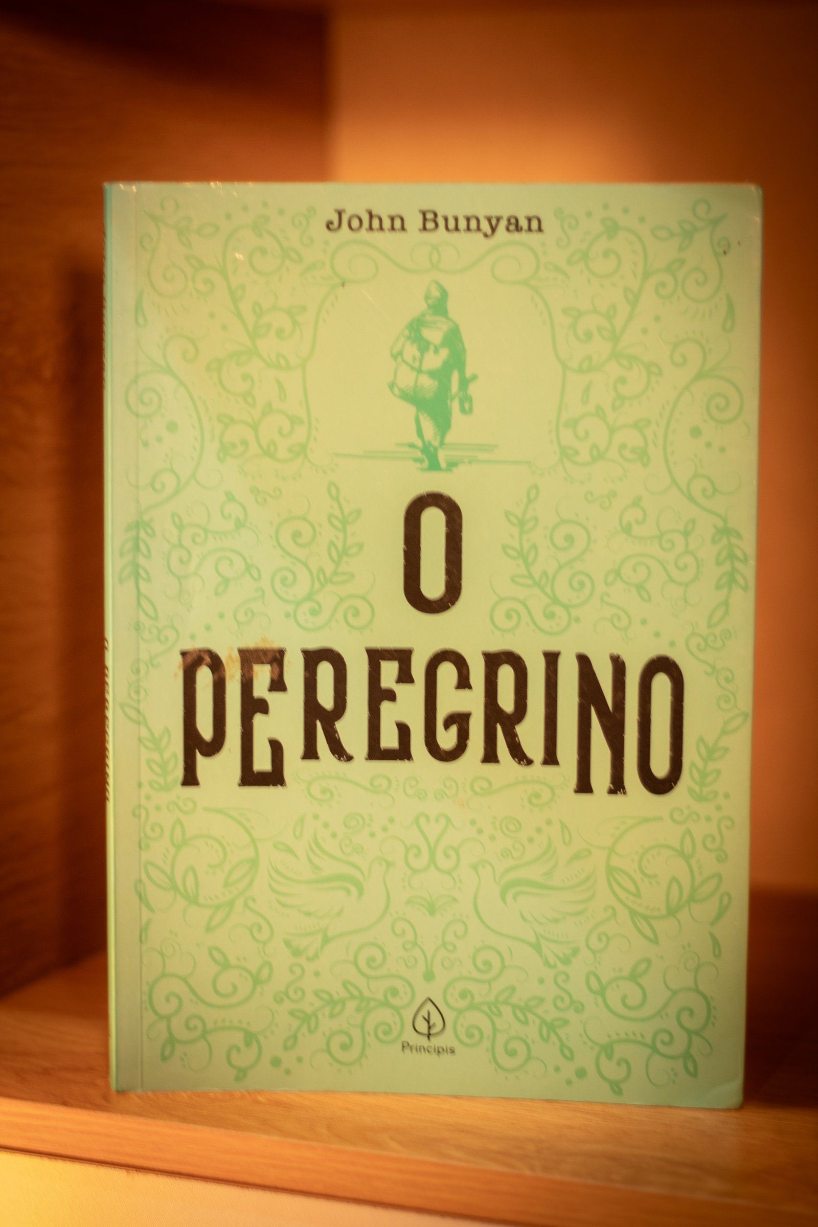 Capa do segundo livro
