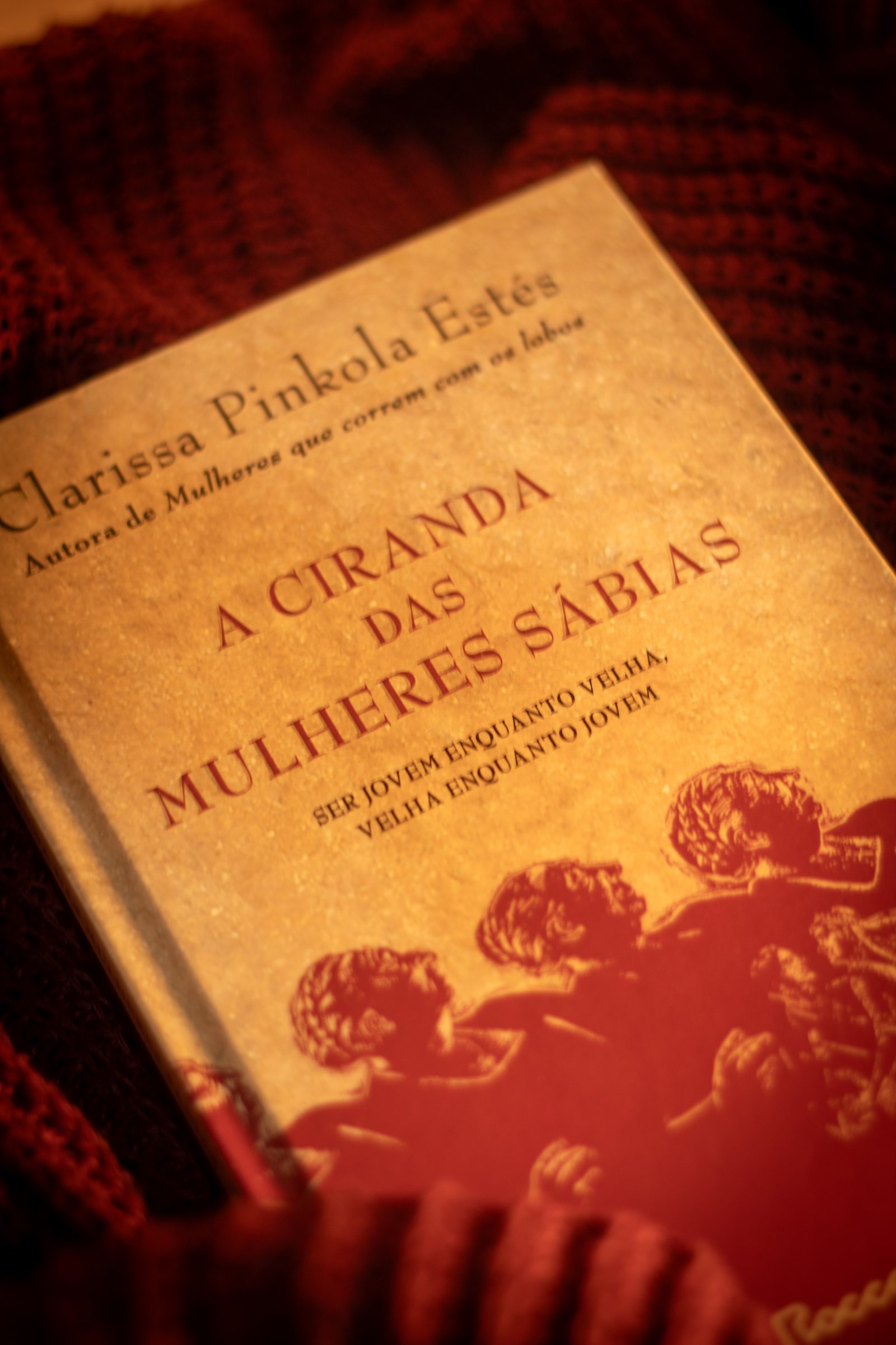 Capa do segundo livro