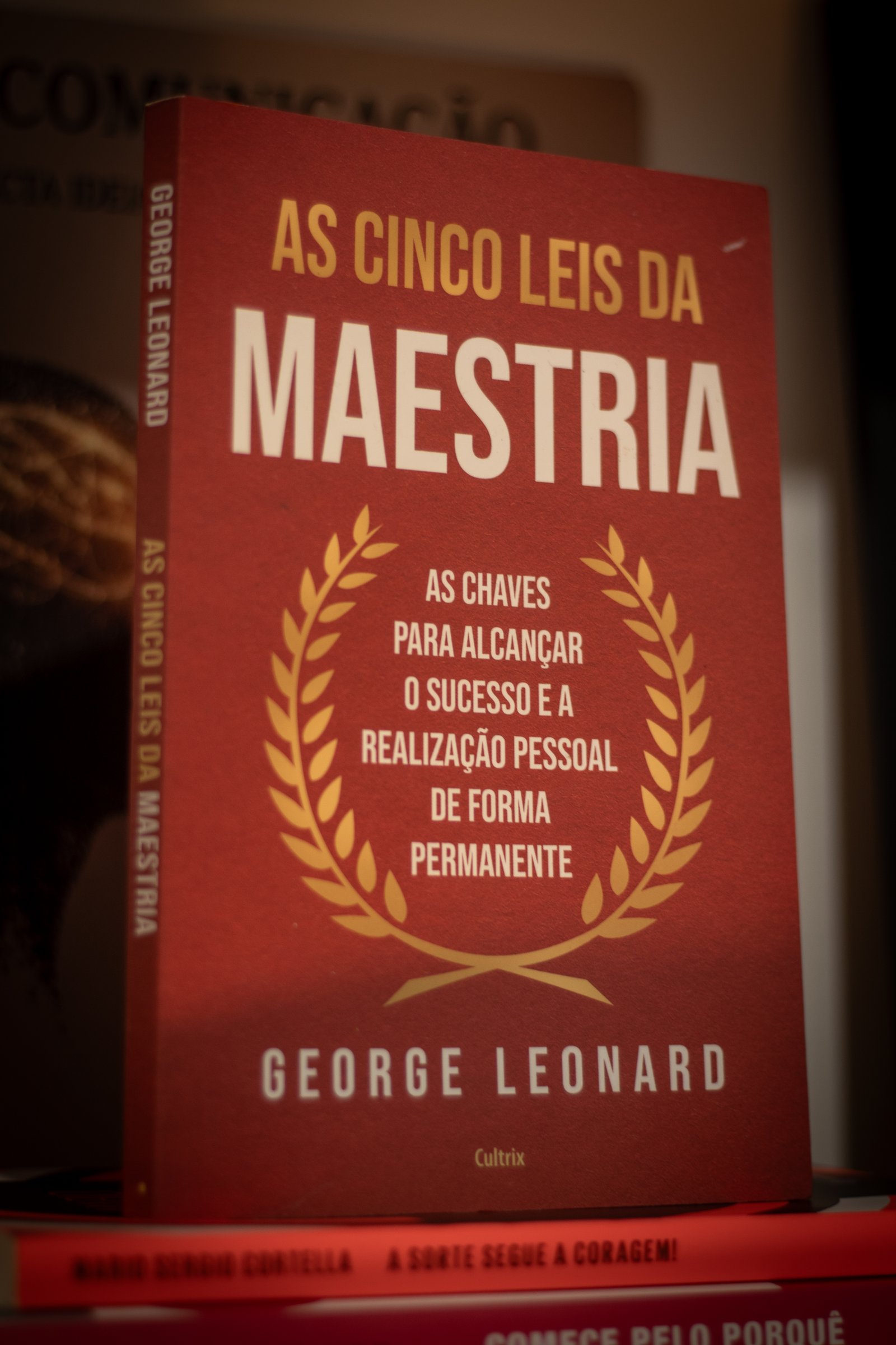 Capa do segundo livro